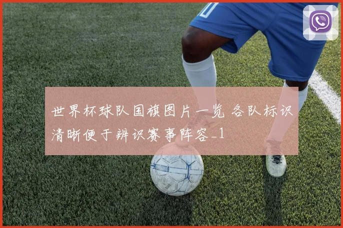 世界杯球队国旗图片一览 各队标识清晰便于辨识赛事阵容_1