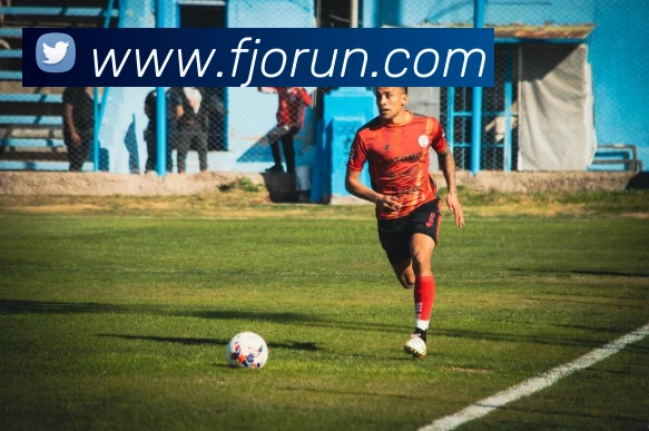 开云手机入口平台生态图